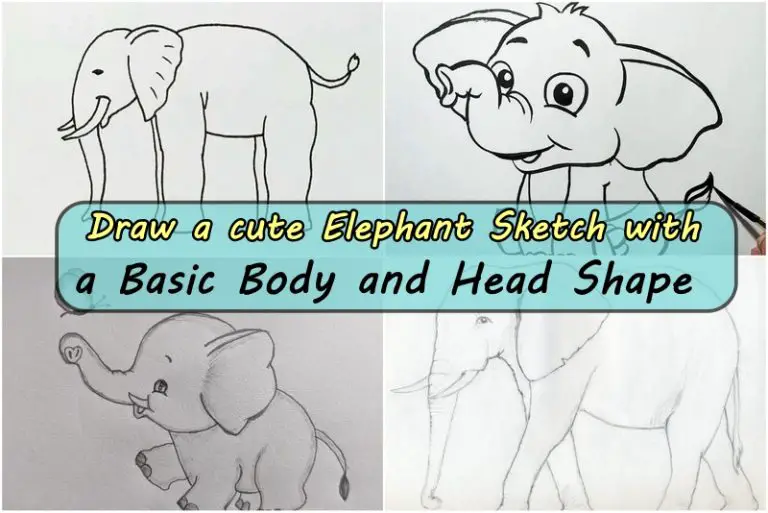 Draw a cute Elephant Sketch with a Basic Body and Head Shape