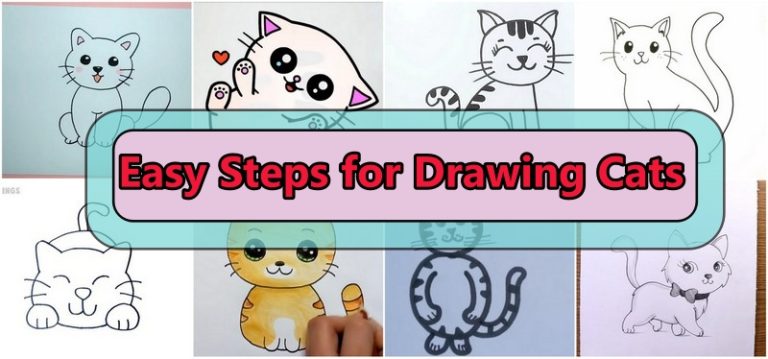 Easy Steps for Drawing Cats
