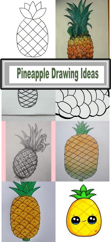 Pineapple Drawing Ideas