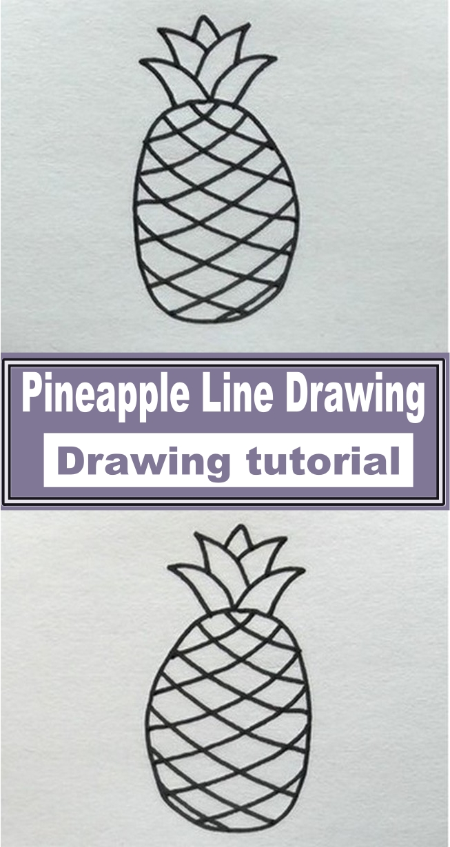 Pineapple Line Drawing