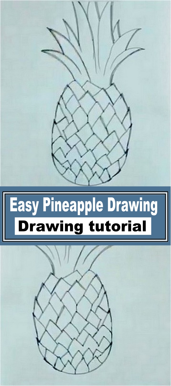 Easy Pineapple Drawing