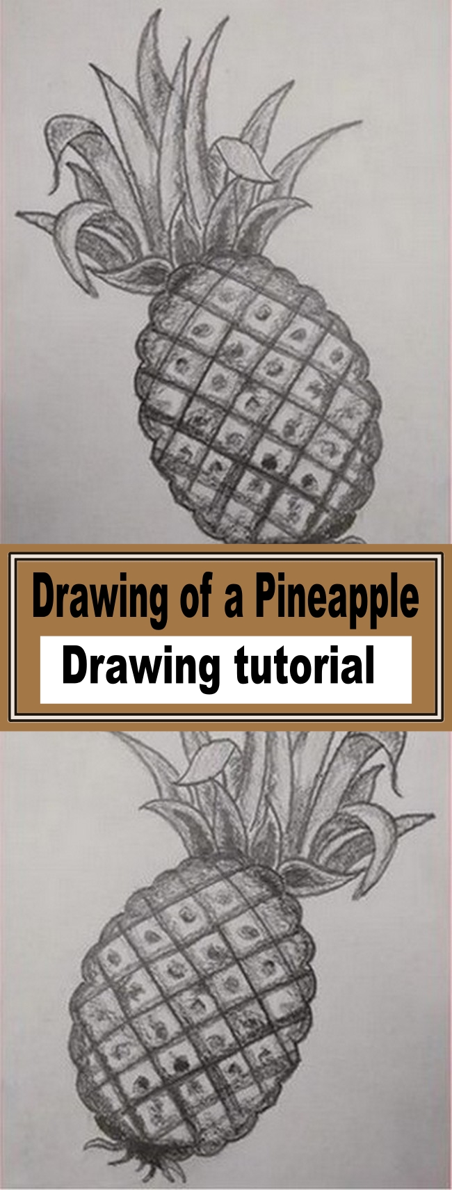 Drawing of a Pineapple