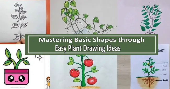 Mastering Basic Shapes through Easy Plant Drawing Ideas