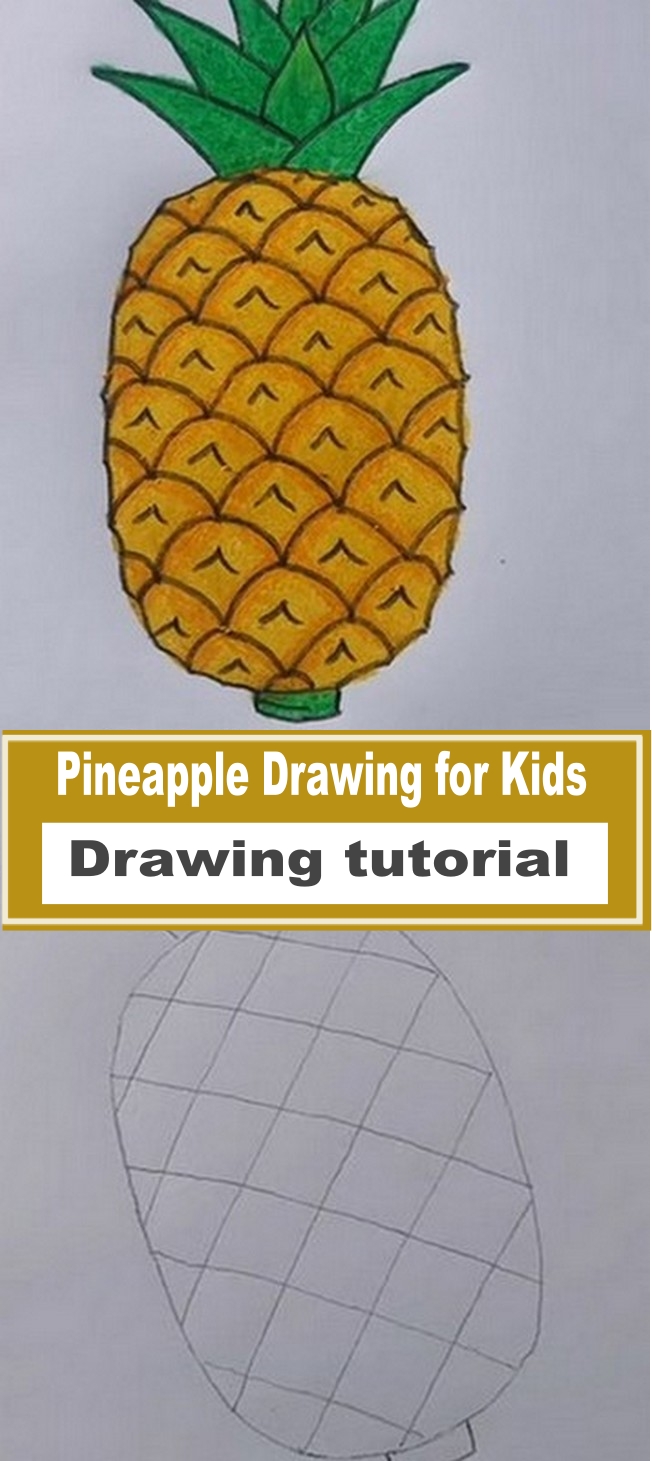 Pineapple Drawing for Kids