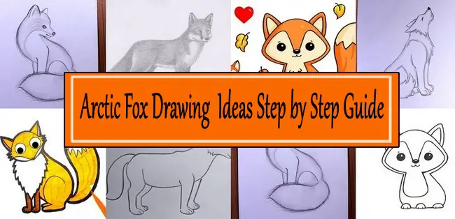 Arctic Fox Drawing  Ideas Step by Step Guide