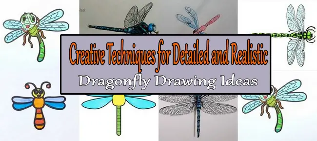Creative Techniques for Detailed and Realistic Dragonfly Drawing Ideas