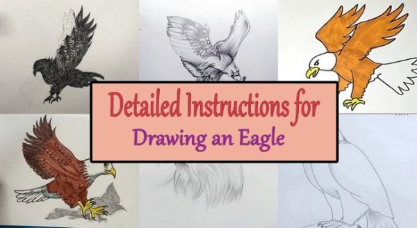Detailed Instructions for Drawing an Eagle