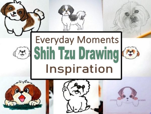 Everyday Moments Shih Tzu Drawing Inspiration