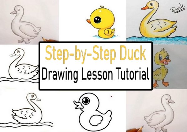 Step-by-Step Duck Drawing Lesson Tutorial
