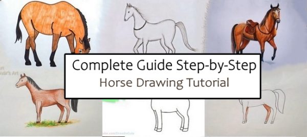 Complete Guide Step-by-Step Horse Drawing Tutorial