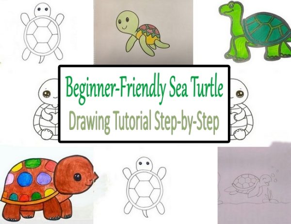 Beginner-Friendly Sea Turtle Drawing Tutorial Step-by-Step