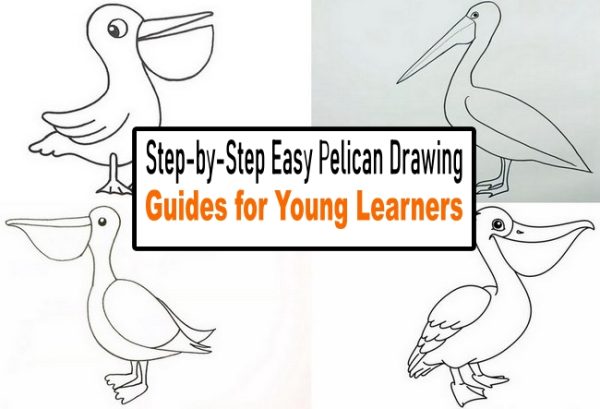 Step-by-Step Easy Pelican Drawing Guides for Young Learners
