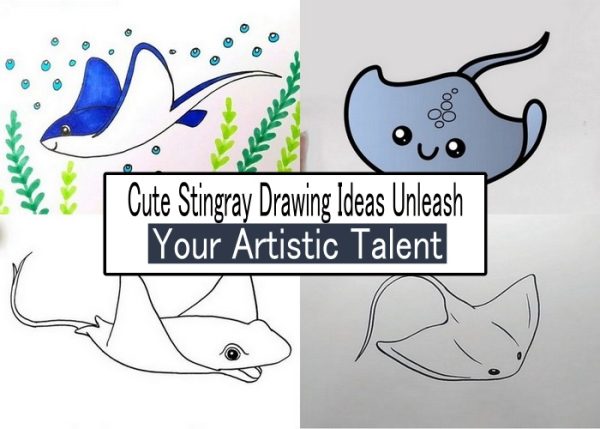 Cute Stingray Drawing Ideas Unleash Your Artistic Talent