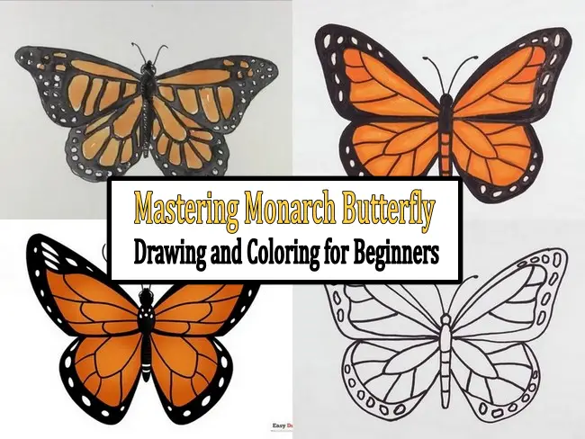 Mastering Monarch Butterfly Drawing and Coloring for Beginners