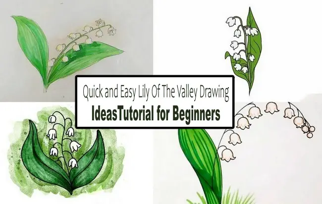 Quick and Easy Lily Of The Valley Drawing IdeasTutorial for Beginners