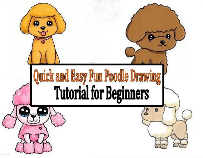 Quick and Easy Fun Poodle Drawing Tutorial for Beginners