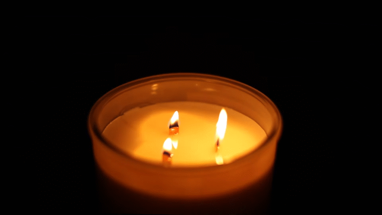 Free Whispering Woods Candle For Beginners