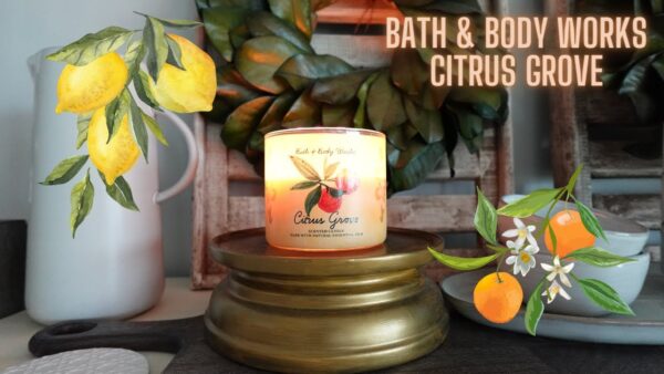 Citrus Grove Breeze Candle On Warm Summer Air