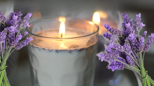 Lavender Fog Softly Candle Settles Over Twilight Dreams In Bloom
