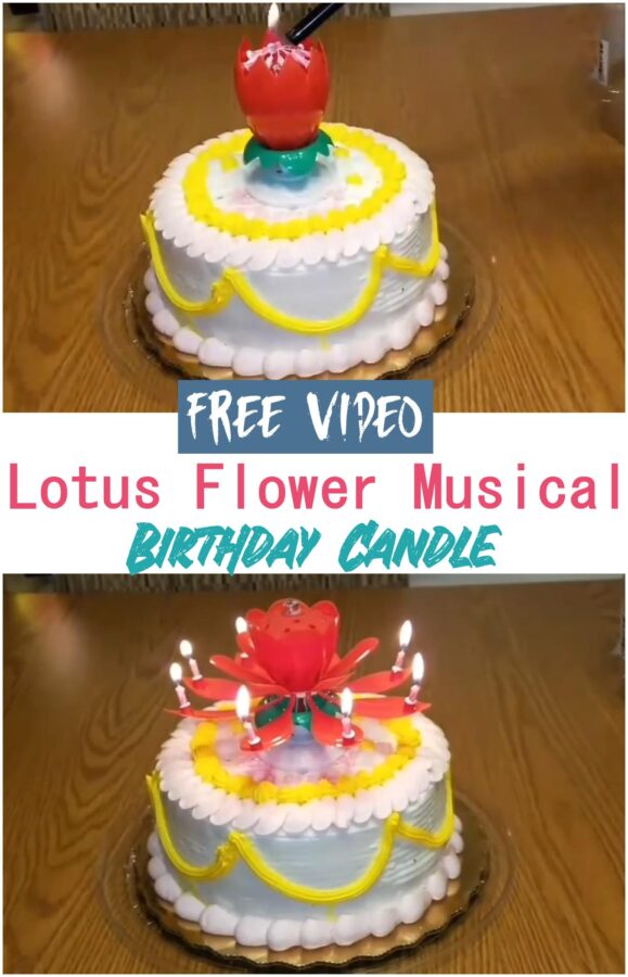 Lotus Flower Musical Birthday Candle