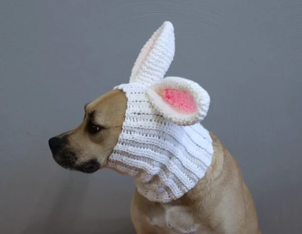 Crochet Dog Snood Patterns Stylish Pet Accessory for Spring