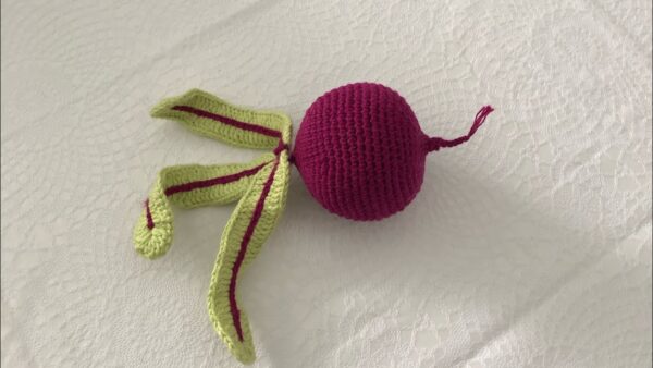 Crochet Beetroot Amigurumi Patterns Veggie Plush for All Skill Levels