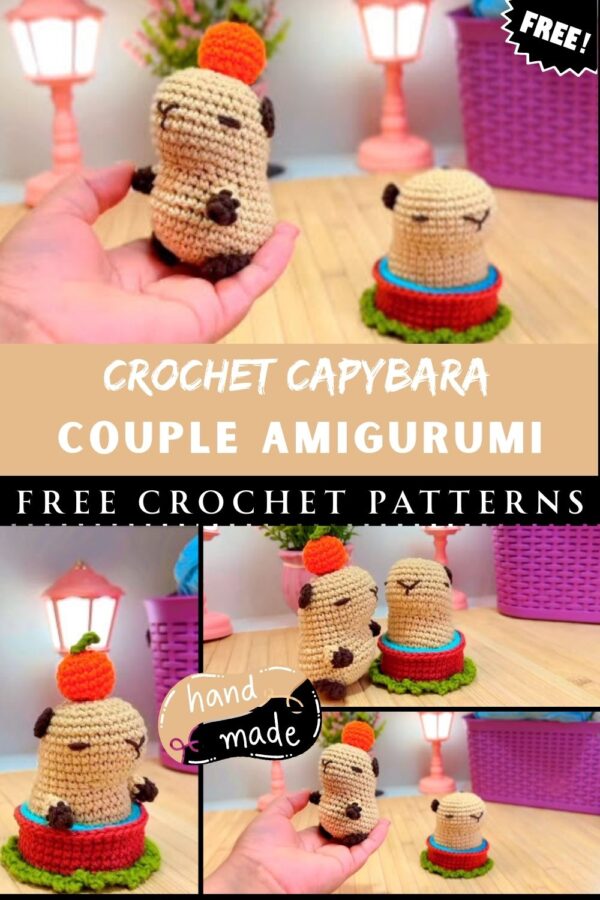 Unique Crochet Capybara Couple Amigurumi Pattern 