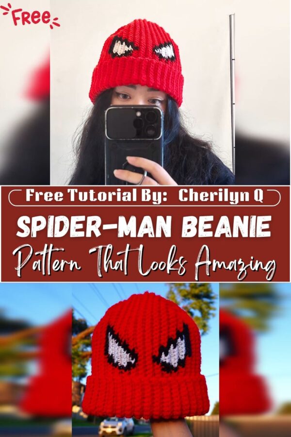 Charming Crochet Spider-Man Beanie Pattern That Looks Amazing 