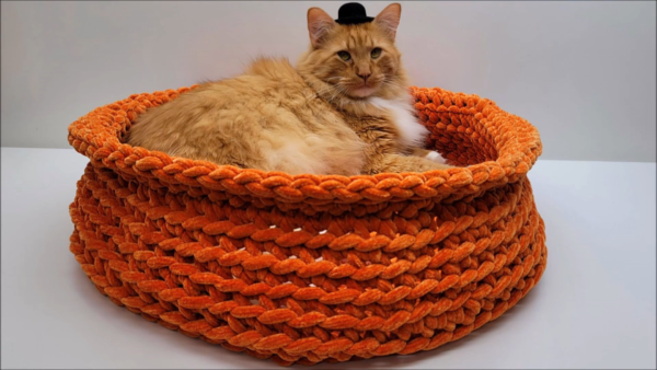 Crochet Pet Bed for Cat Lovers & Beginners Perfect Winter Project Ideas