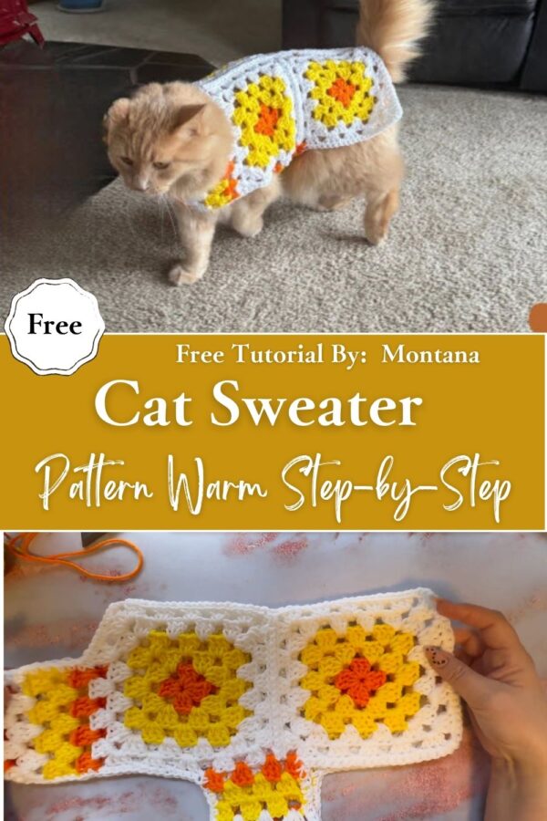 Gorgeous Crochet Cat Sweater Pattern Warm Step-by-Step