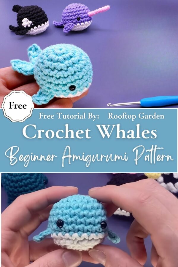 How to Crochet Whales Beginner Amigurumi Pattern