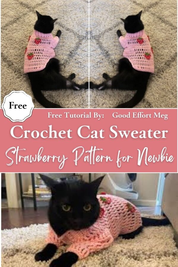 Incredible Crochet Cat Sweater with Strawberry Pattern for Newbie