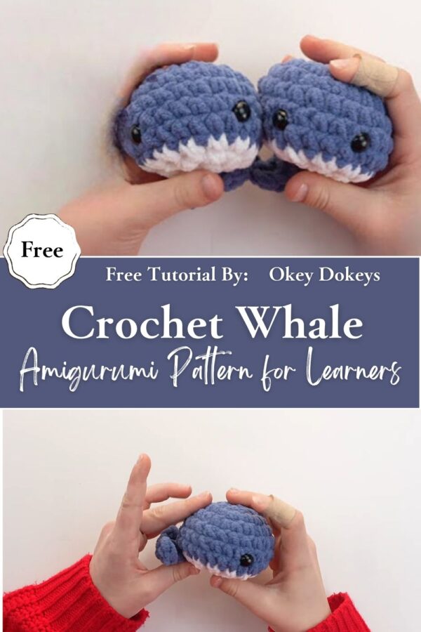 Precious Crochet Whale Amigurumi Pattern for Learners