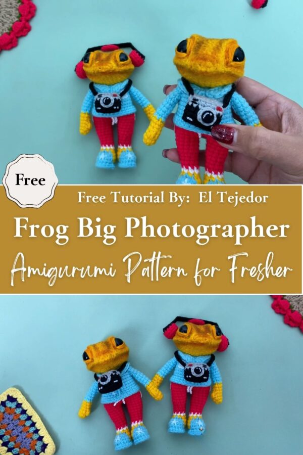 Refreshing Crochet Frog Big Photographer Amigurumi Pattern for Fresher