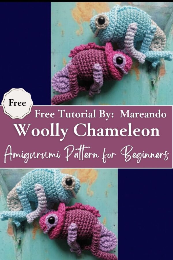 Sparkling Crochet Woolly Chameleon Amigurumi Pattern for Beginners