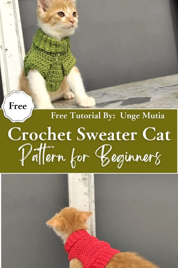 Stunning Crochet Mini Sweater Cat Pattern for Beginners 