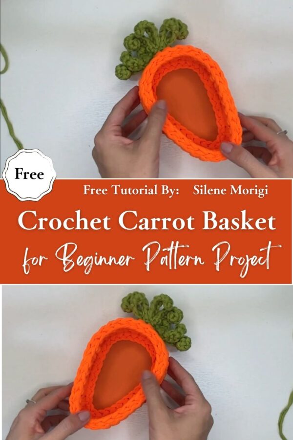 Stylish Crochet Carrot Basket for Beginner Pattern Project