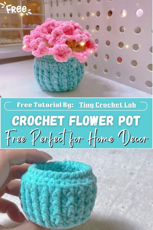 , Sweet Crochet Flower Pot Pattern Free Perfect for Home Decor 