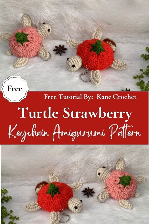 Touching Crochet Turtle Strawberry Keychain Amigurumi Pattern