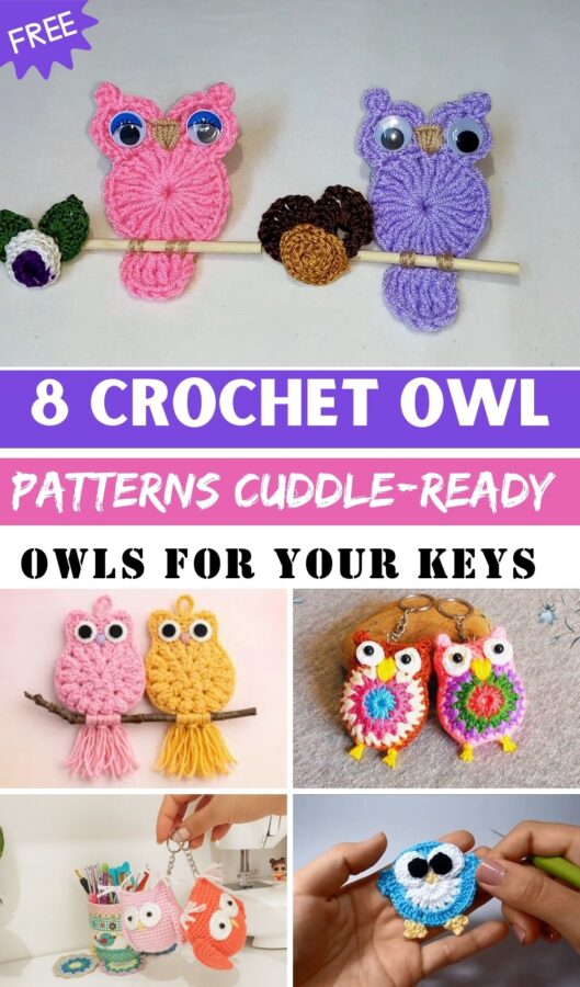 Adorable Crochet Owl Patterns Cuddle-Ready Owls for Your Keys 