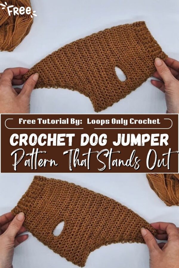  Charming Crochet Dog Jumper Pattern That Stands Out
