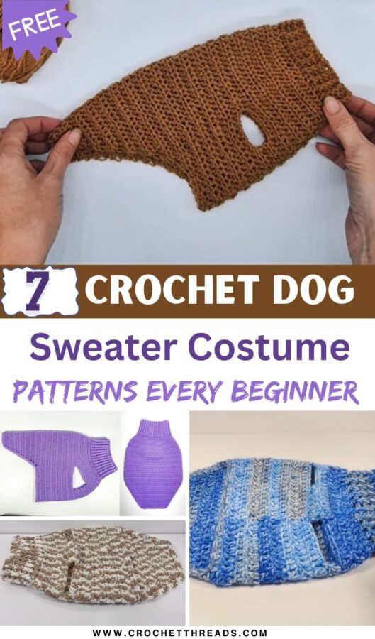 Crochet Dog Sweater Costume Patterns Every Beginner Can Make 