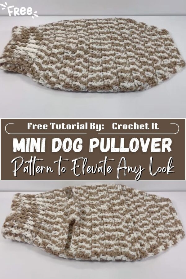 Energetic Crochet Mini Dog Pullover Pattern to Elevate Any Look