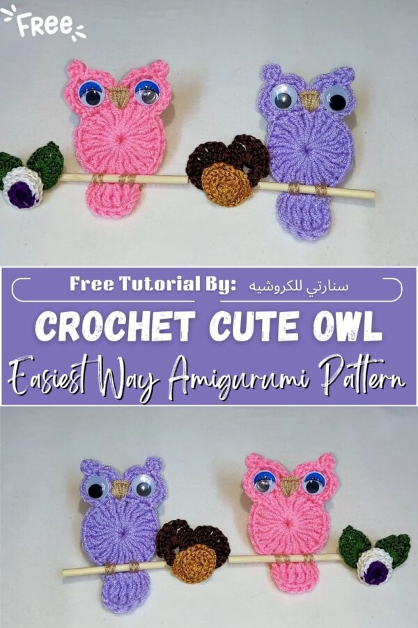 Graceful Crochet Cute Owl in the Easiest Way Amigurumi Pattern