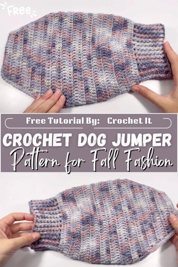 Graceful Cute Crochet Dog Jumper Pattern for Fall Fashion