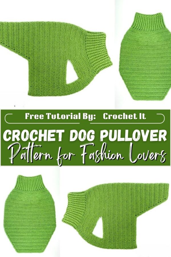 Sparkling Crochet Dog Pullover Pattern for Fashion Lovers