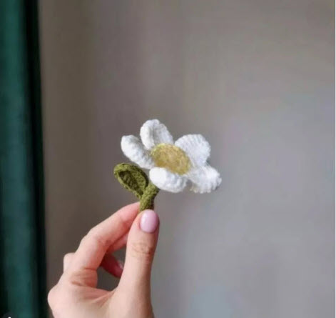 Inspiring Crochet Daisy Flower Free Pattern with Leaf