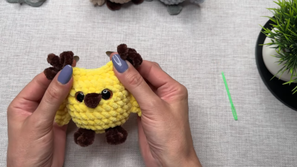 Crochet Owl Bird Amigurumi Pattern for Special Occasions