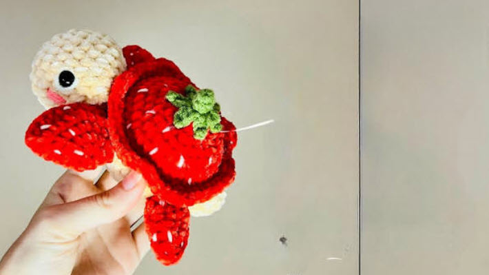 Crochet Strawberry Turtle Amigurumi Pattern Toy