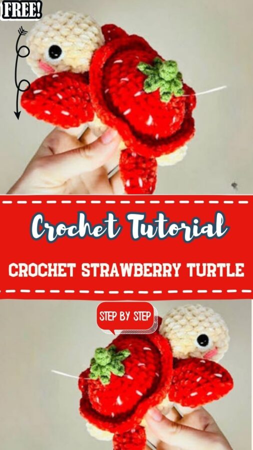 Crochet Strawberry Turtle Amigurumi Pattern Toy